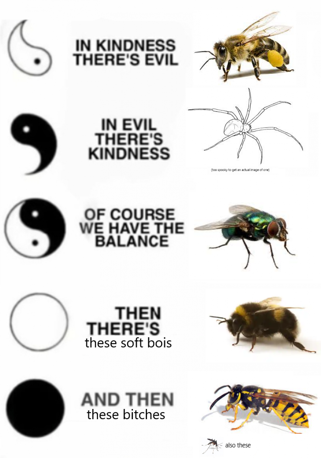 Nobody likes wasps