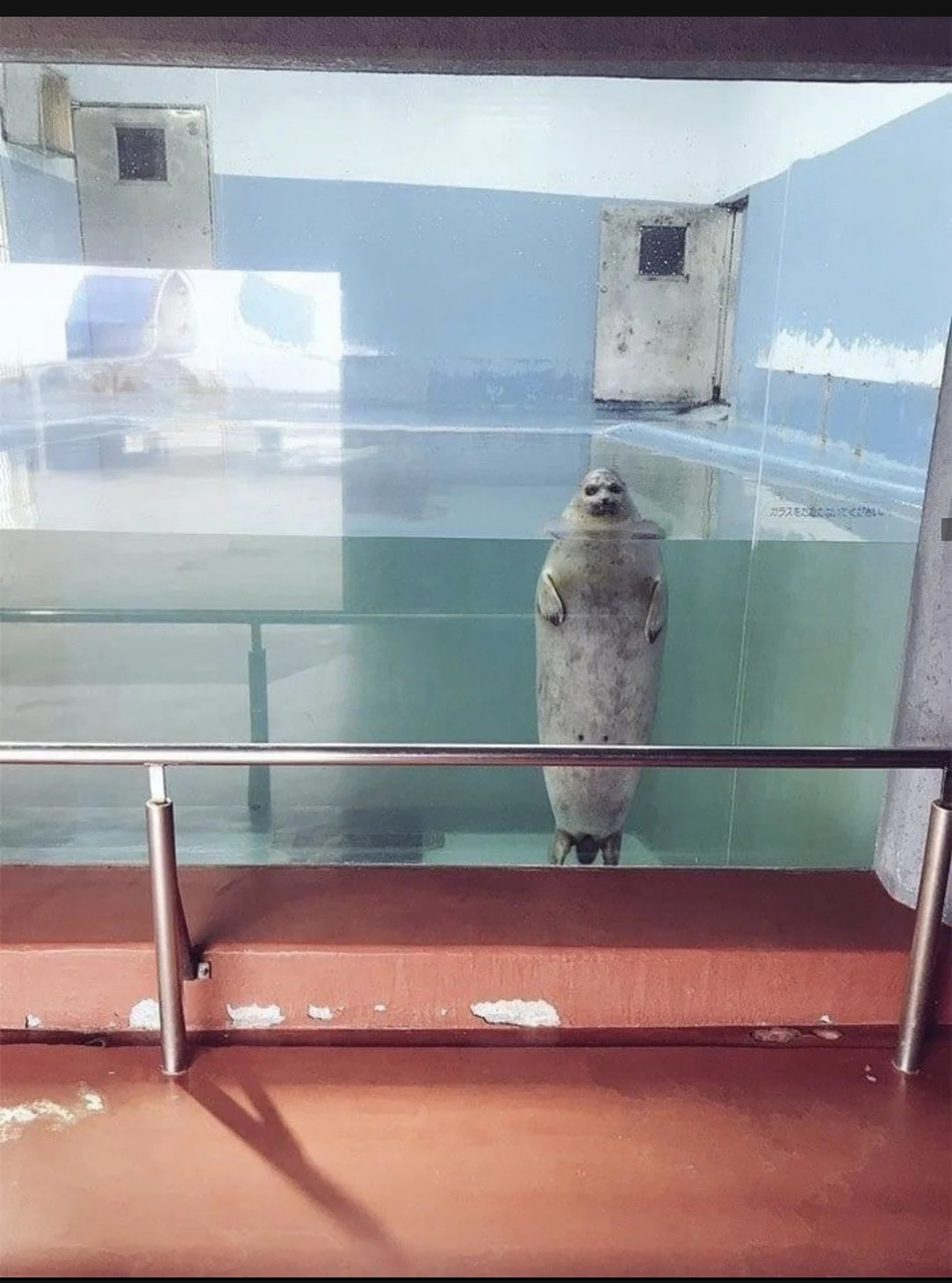This seal in its inside tank