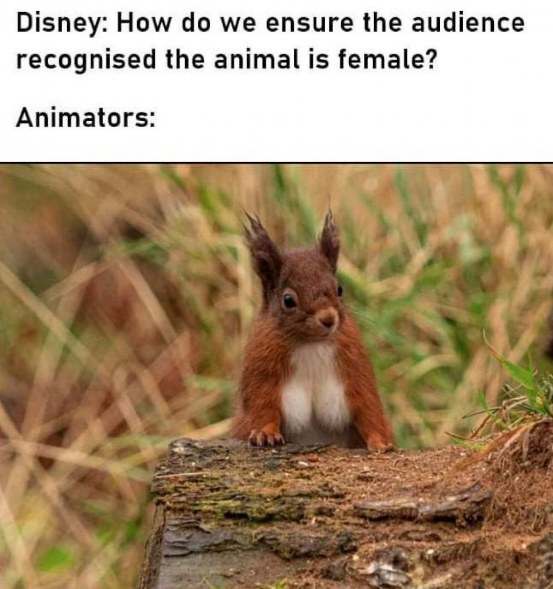 Recognise the animal is female