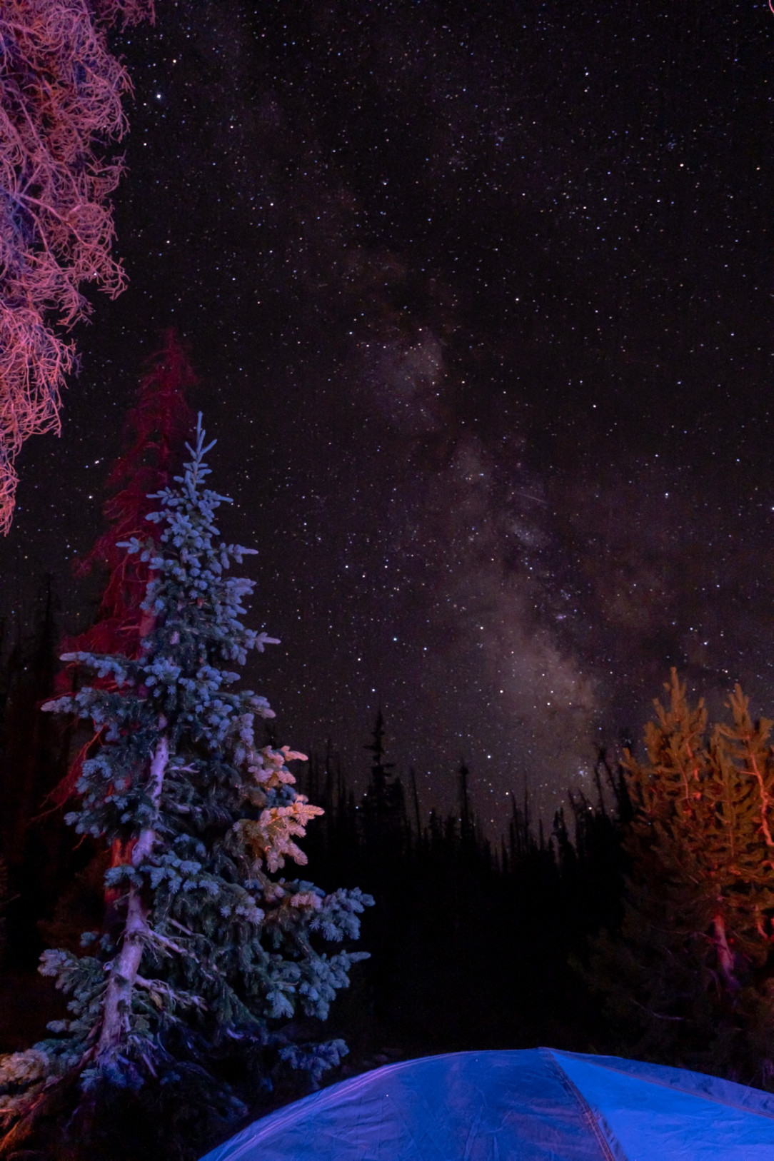 Camping in the mountains of Utah