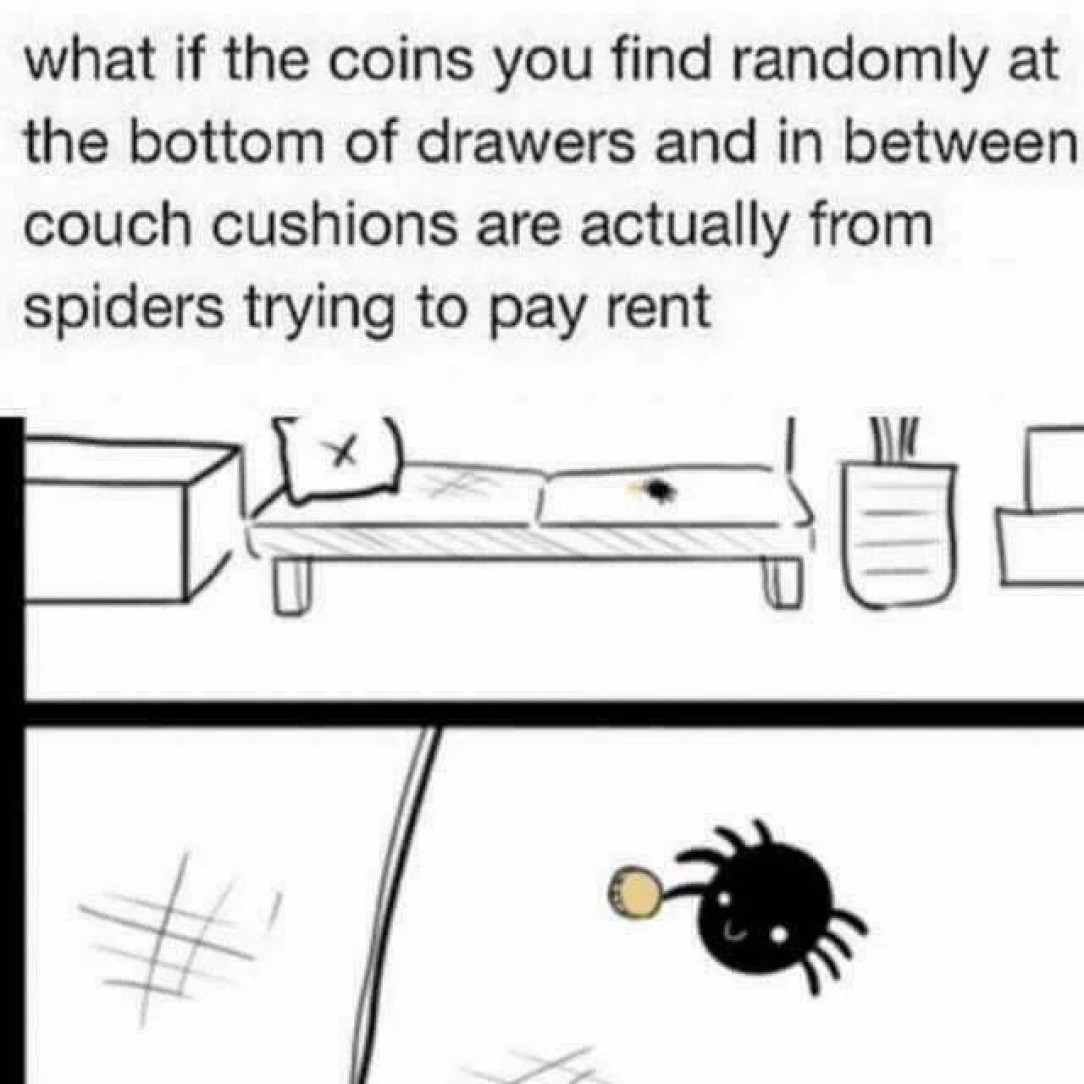 Spider trying to pay rent