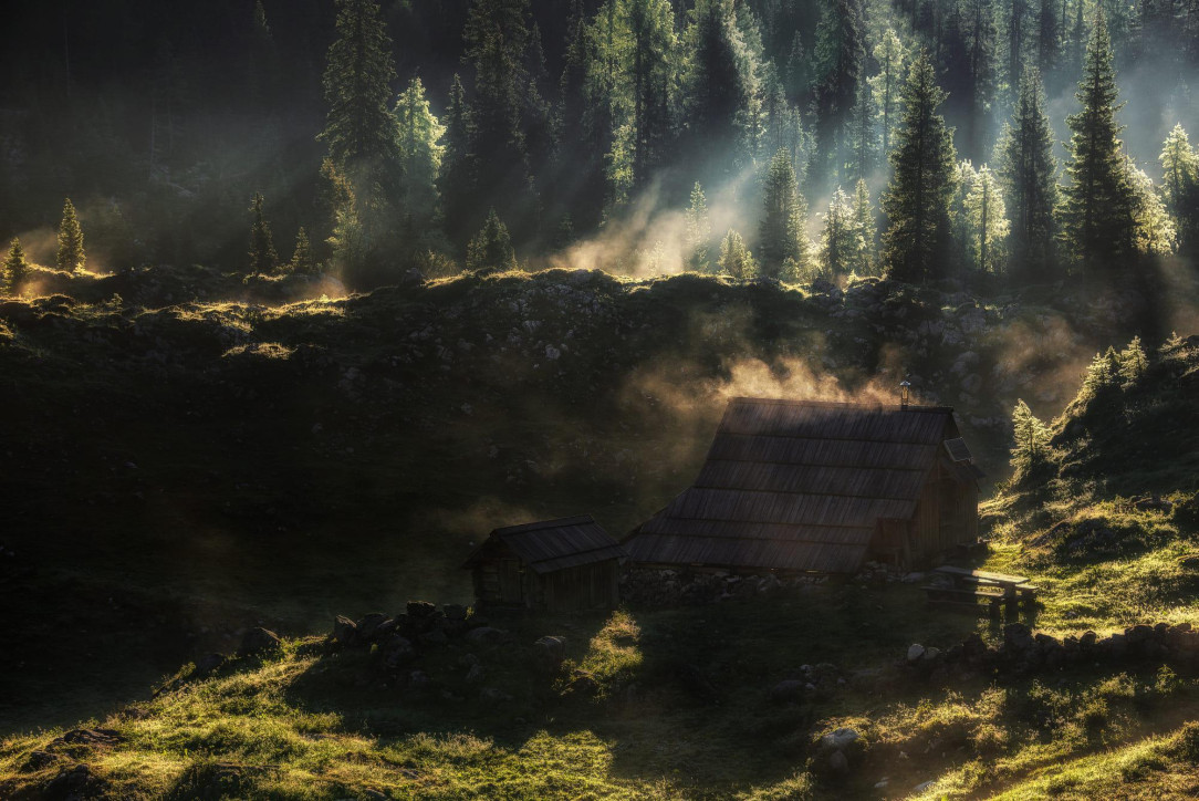 Dedno polje meadow in the Julian Alps