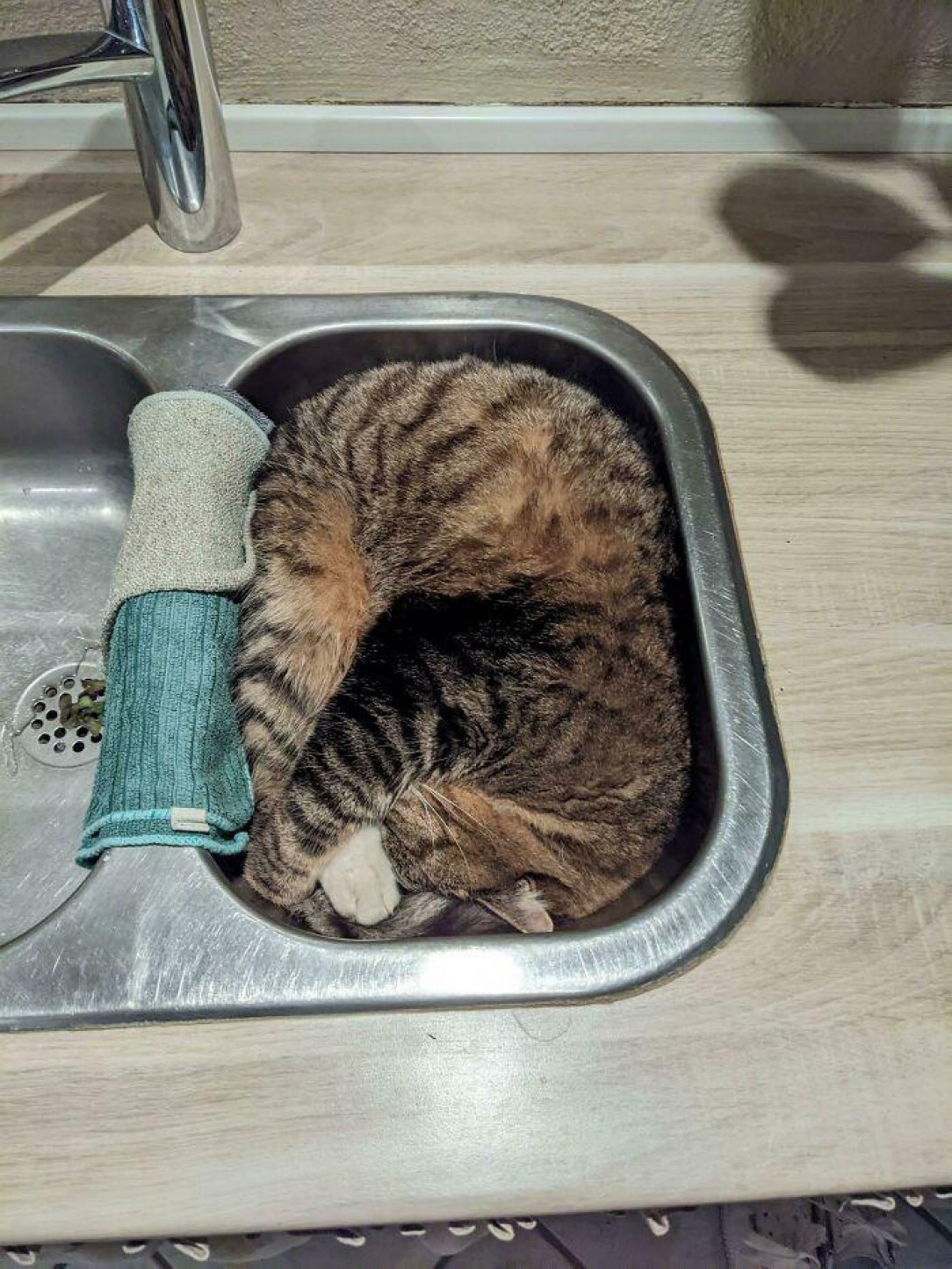 How she fits perfectly in the sink