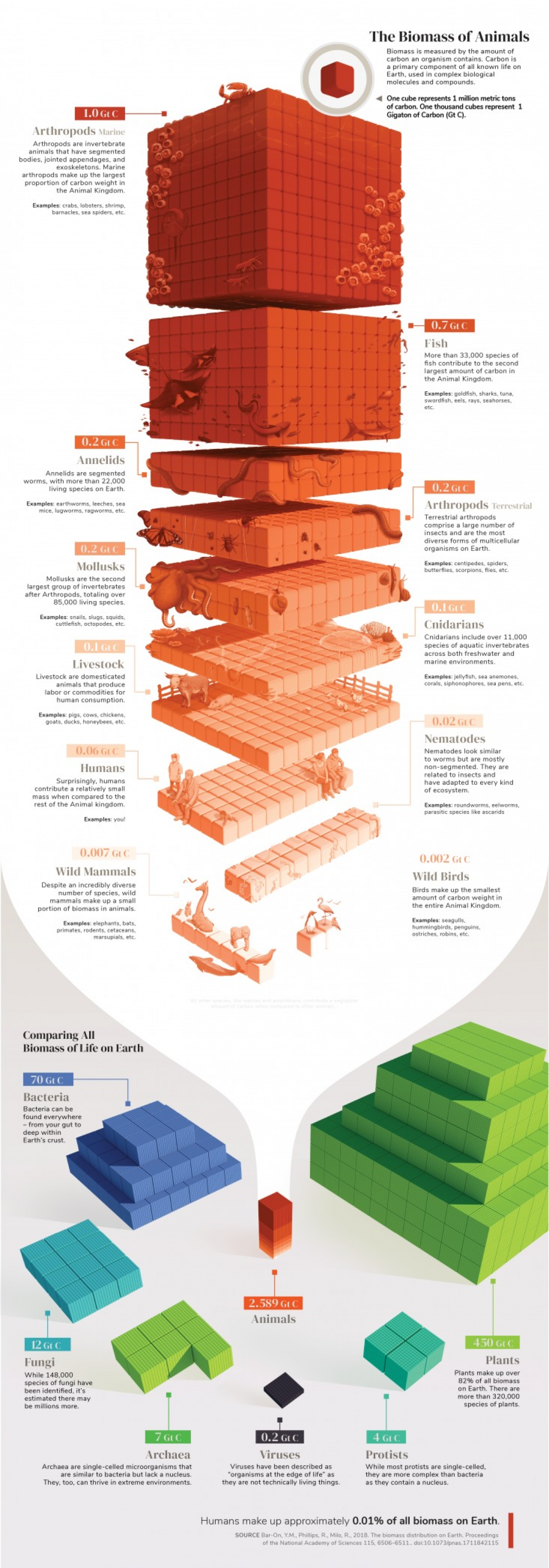 The Biomass of Animals