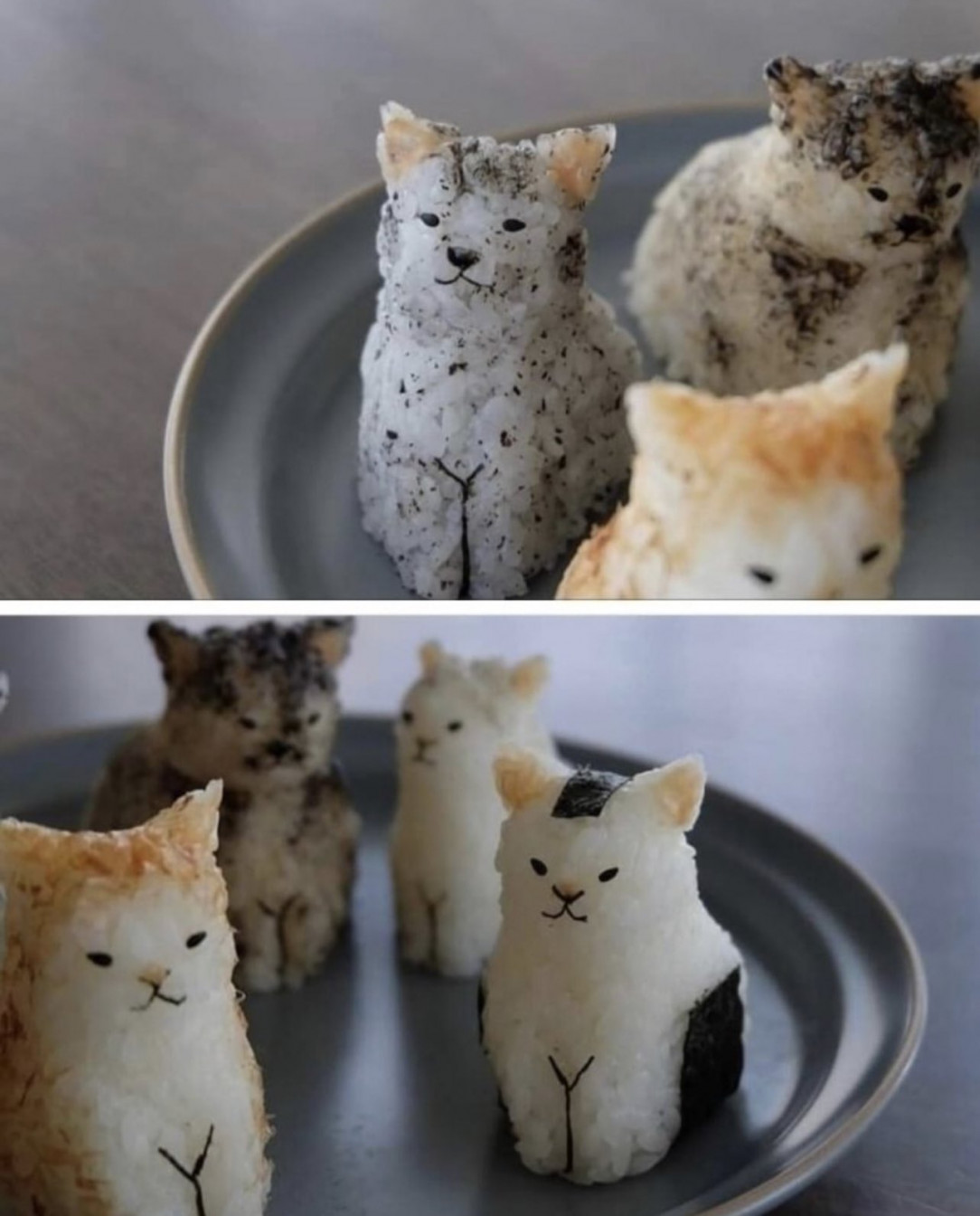These onigiri (rice balls) perfectly shaped like cats