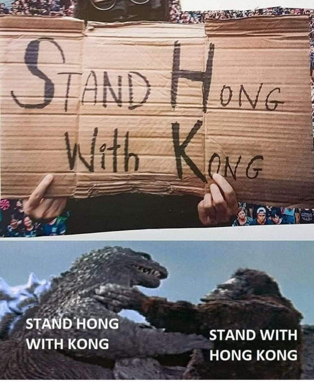 Stand Hong with Kong