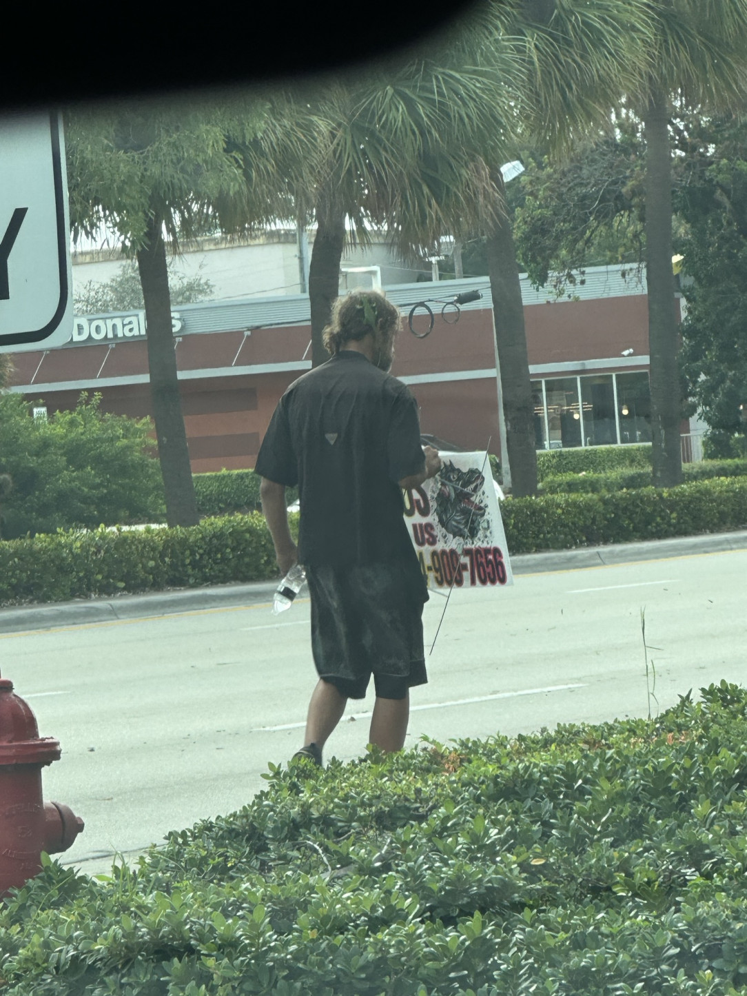 This homeless dude stealing marketing signs with an iguana on his head