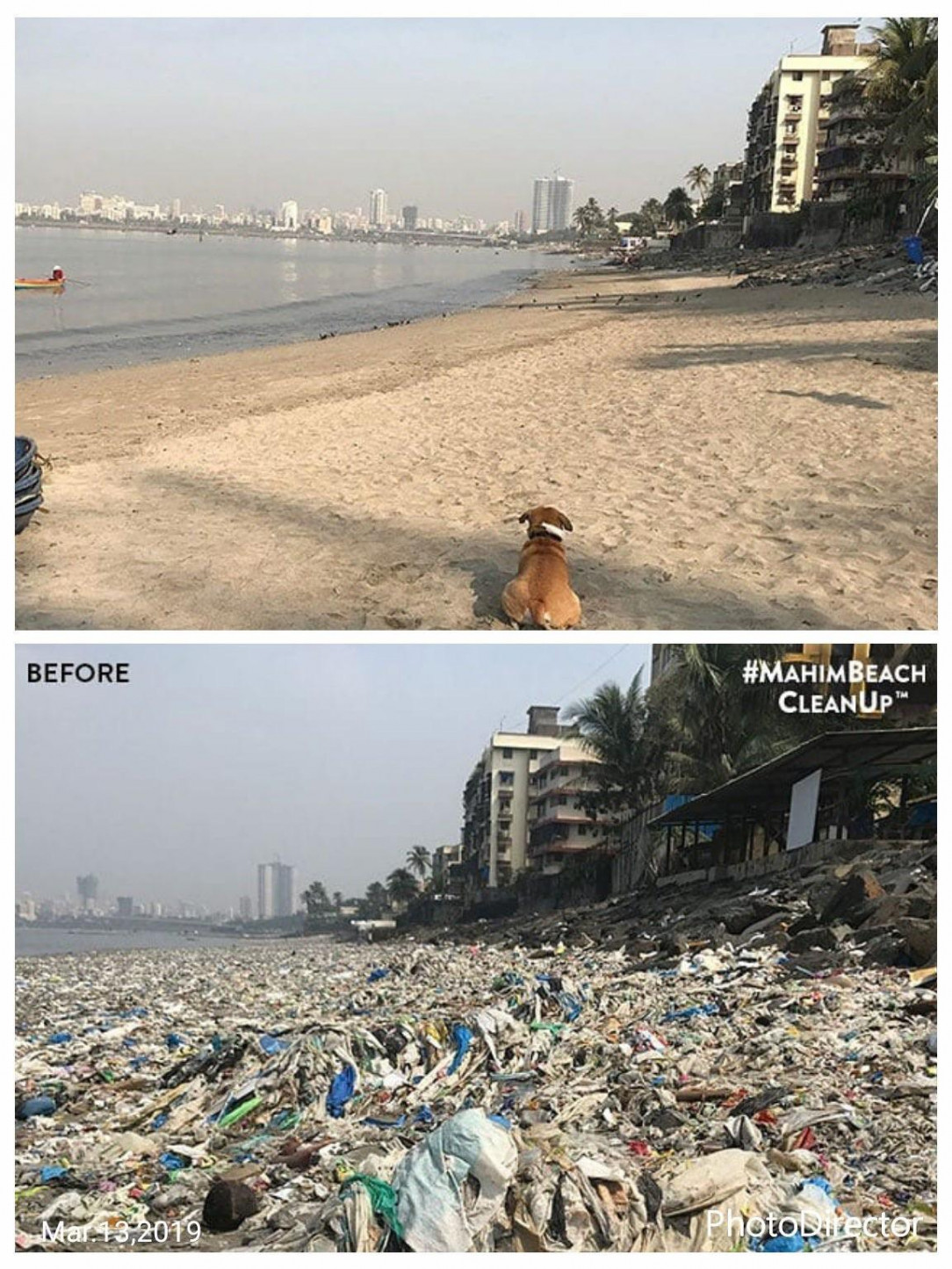 India Is Waking Up #MahimBeachCleanup Has Cleared More Than 700 Tons Of Plastic From Our Beach