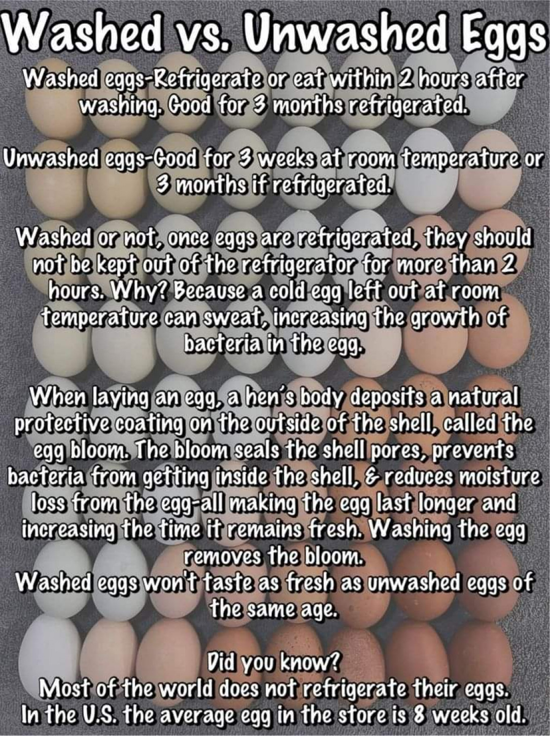 Washed vs. Unwashed Eggs (found on Facebook)