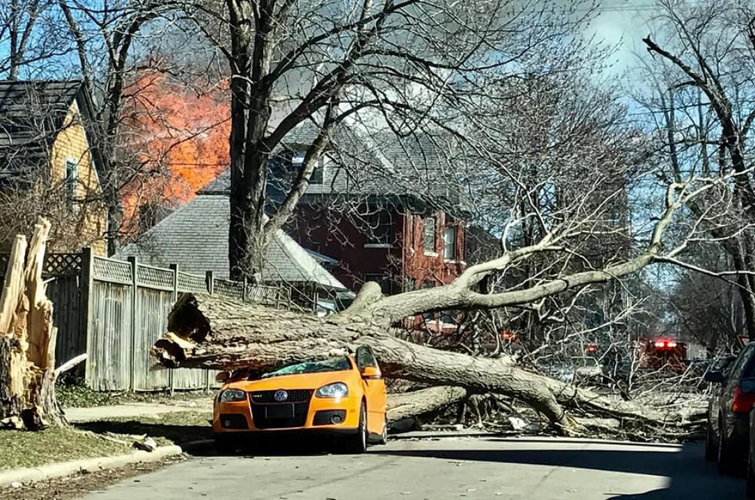 Tree fell on roommate&#039;s car, then the house behind us burst into flames on the same day