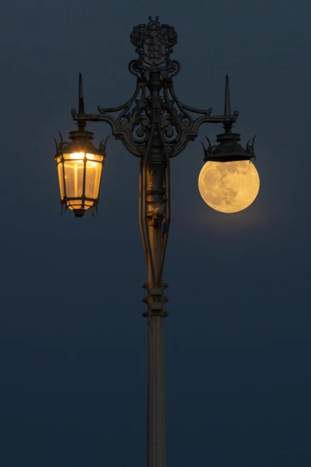 The moon moved in just the right position to look like a street lamp