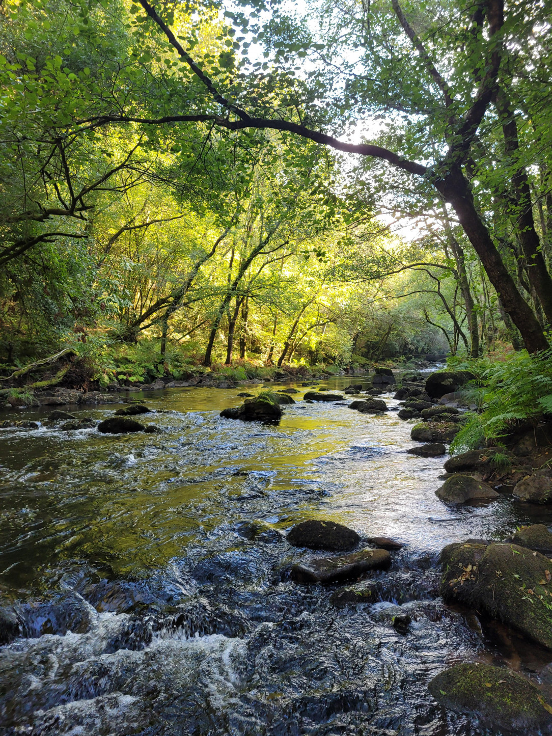 Río Mandeo, Galicia