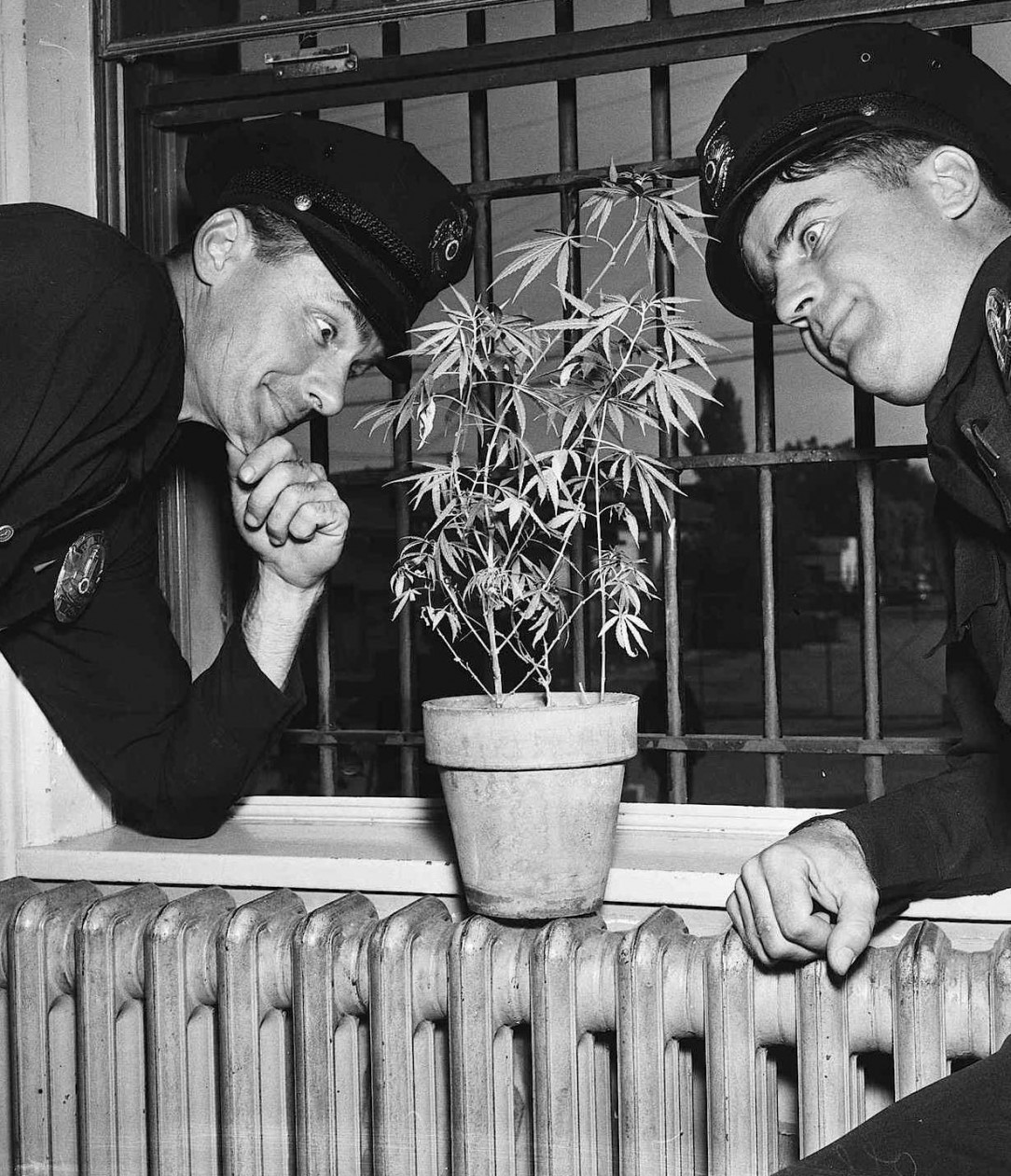 Police officers keeping a close watch on a seized illegal plant. Circa 1950&#039;s