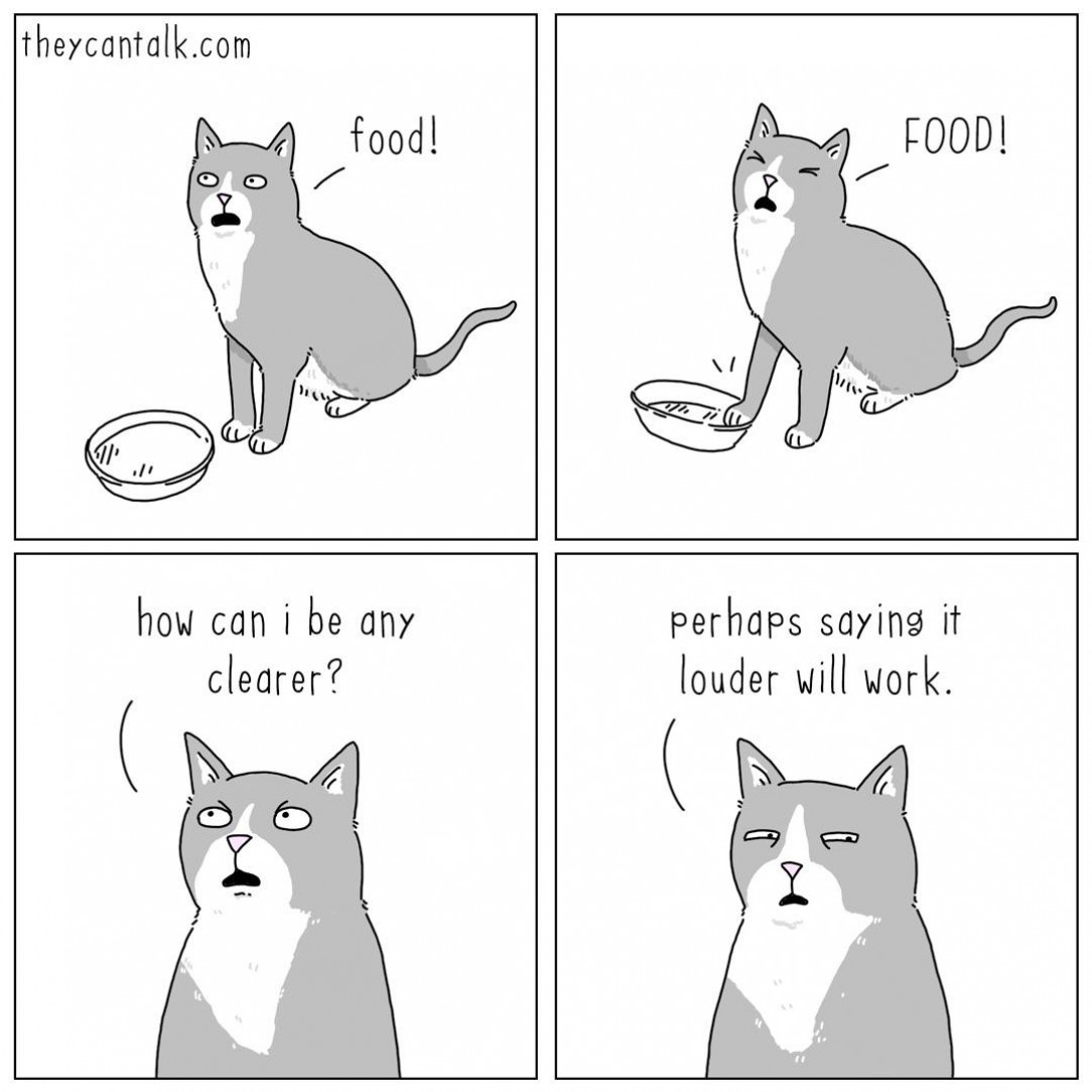 cat rationale