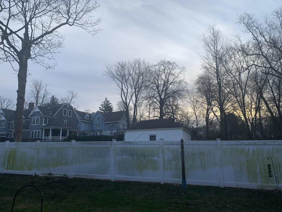 The new neighbors just cut down 5 beautiful oak trees that used to give us to much shade. The new view kinda sucks…