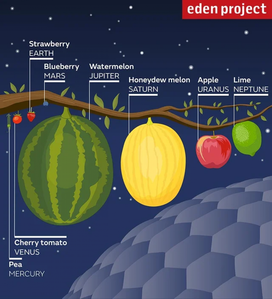 If planets were the size of fruit