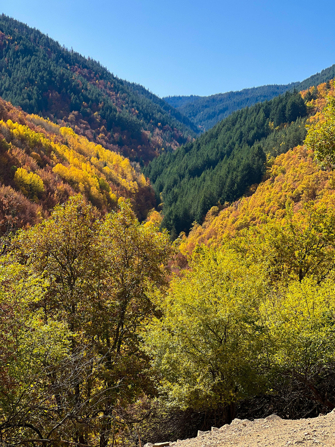 The Rhodopes in Bulgaria a week ago - iPhone shot without editing