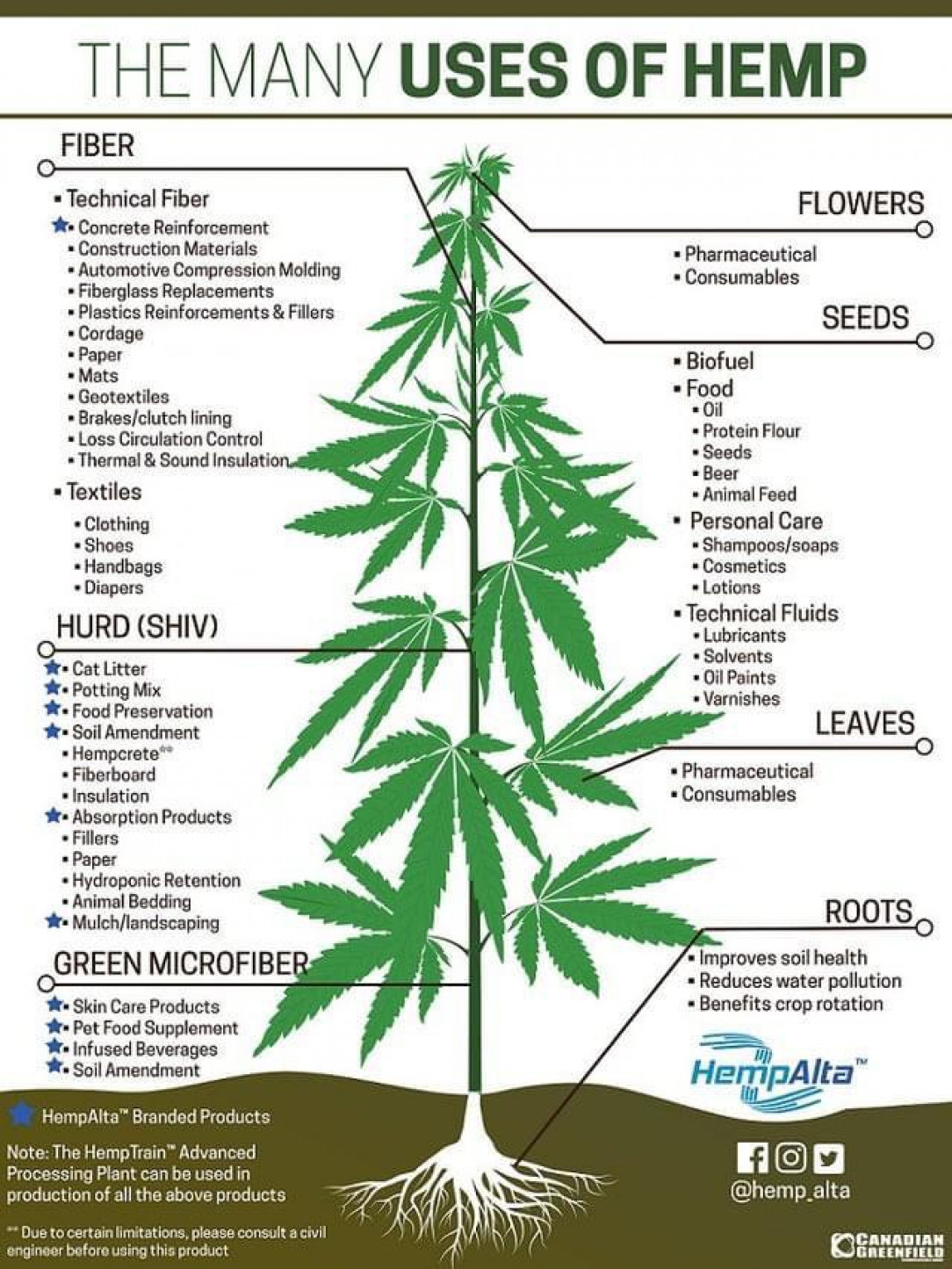 Things that are made from hemp and the many ways it can and is being used