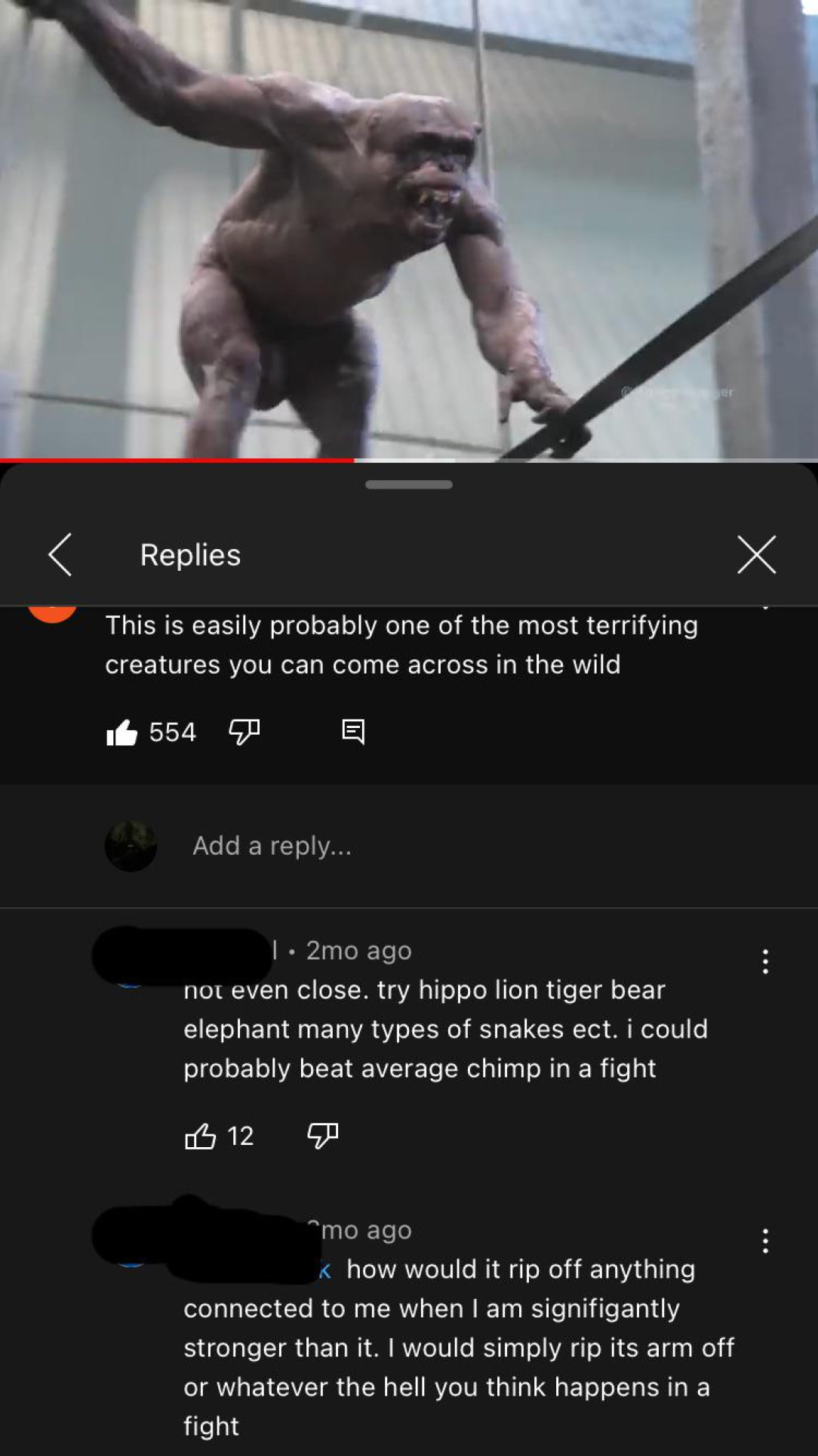 Amateur MMA Fighter thinks he can take on a chimpanzee