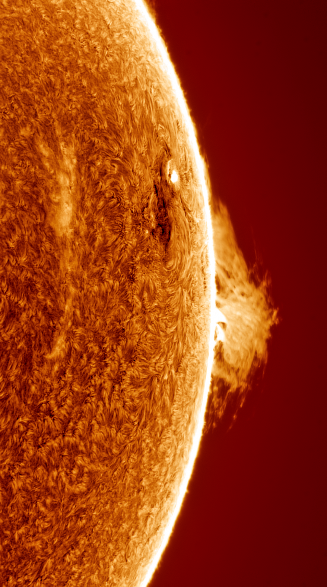 Prominence, sunspot and a filament