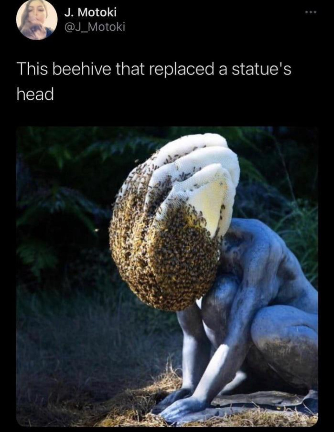 Hive head, do not alert the swarm