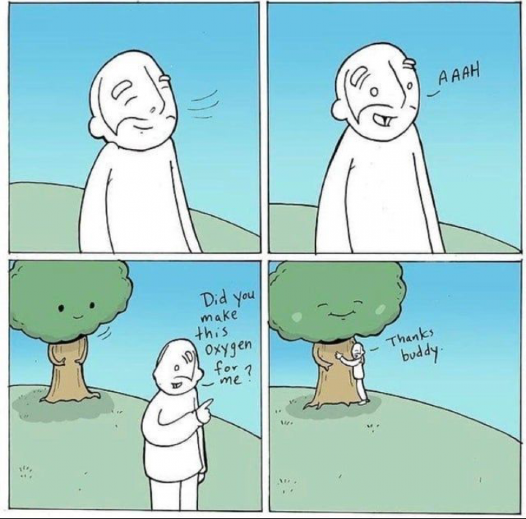 Have You Hugged a Tree Today?