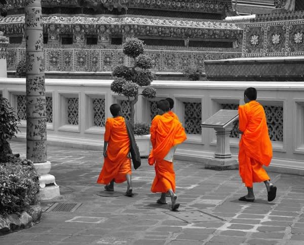Selective Colour Monks