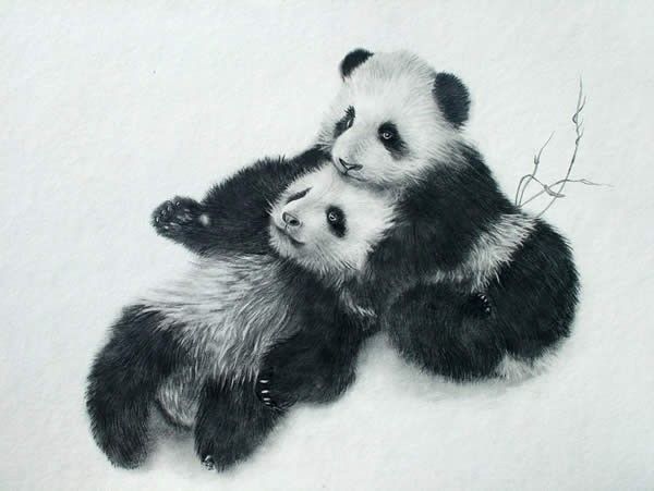 Pandas drawing