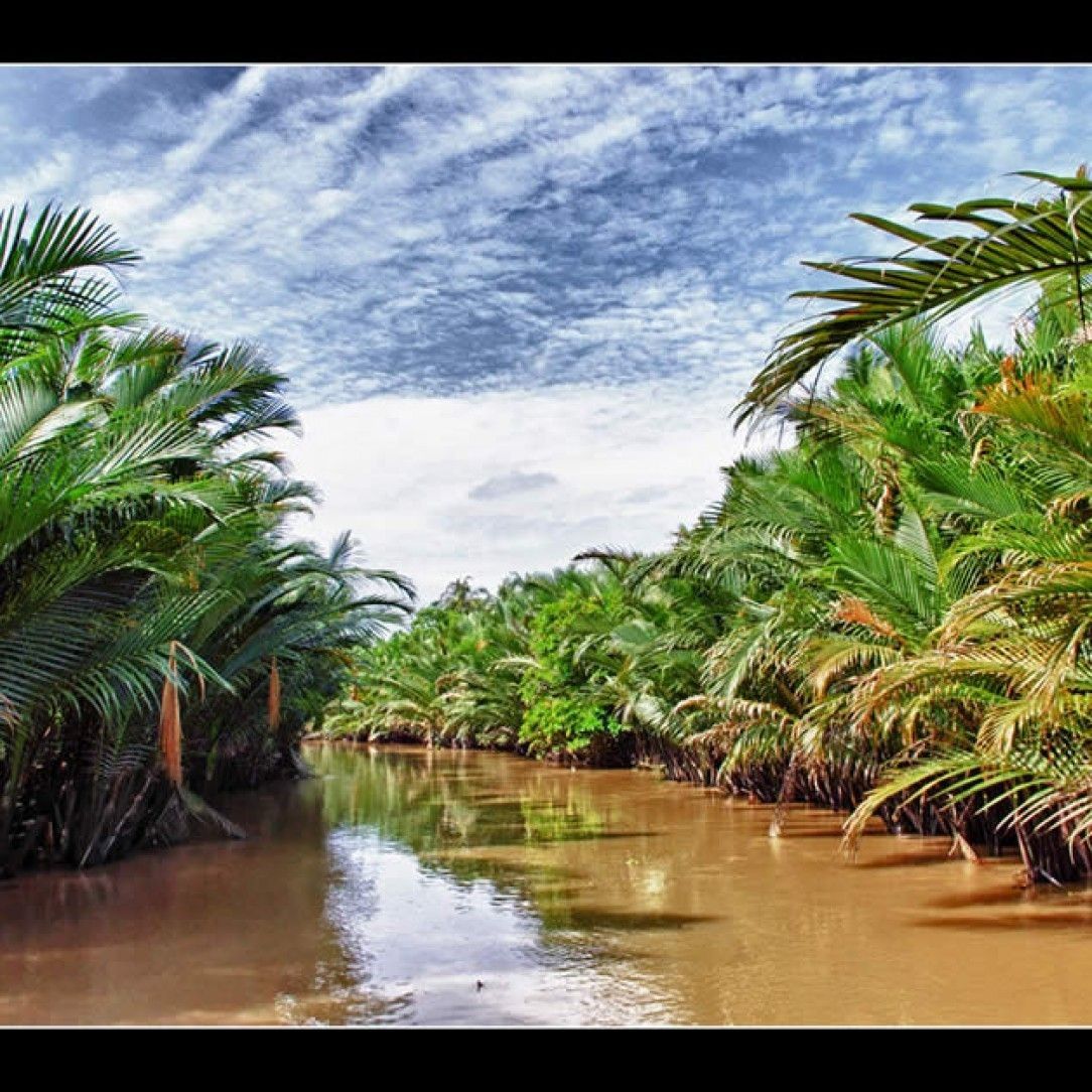 The Mekong River in Vietnam