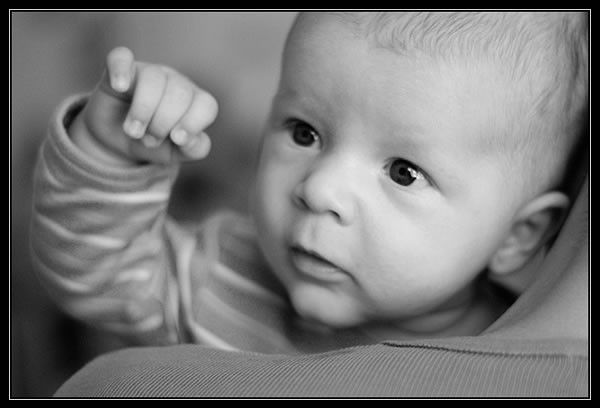 Alexander - Baby Portrait