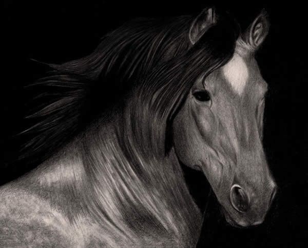 Brown Horse drawing