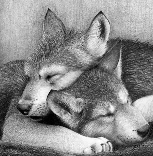 Drawing of puppies