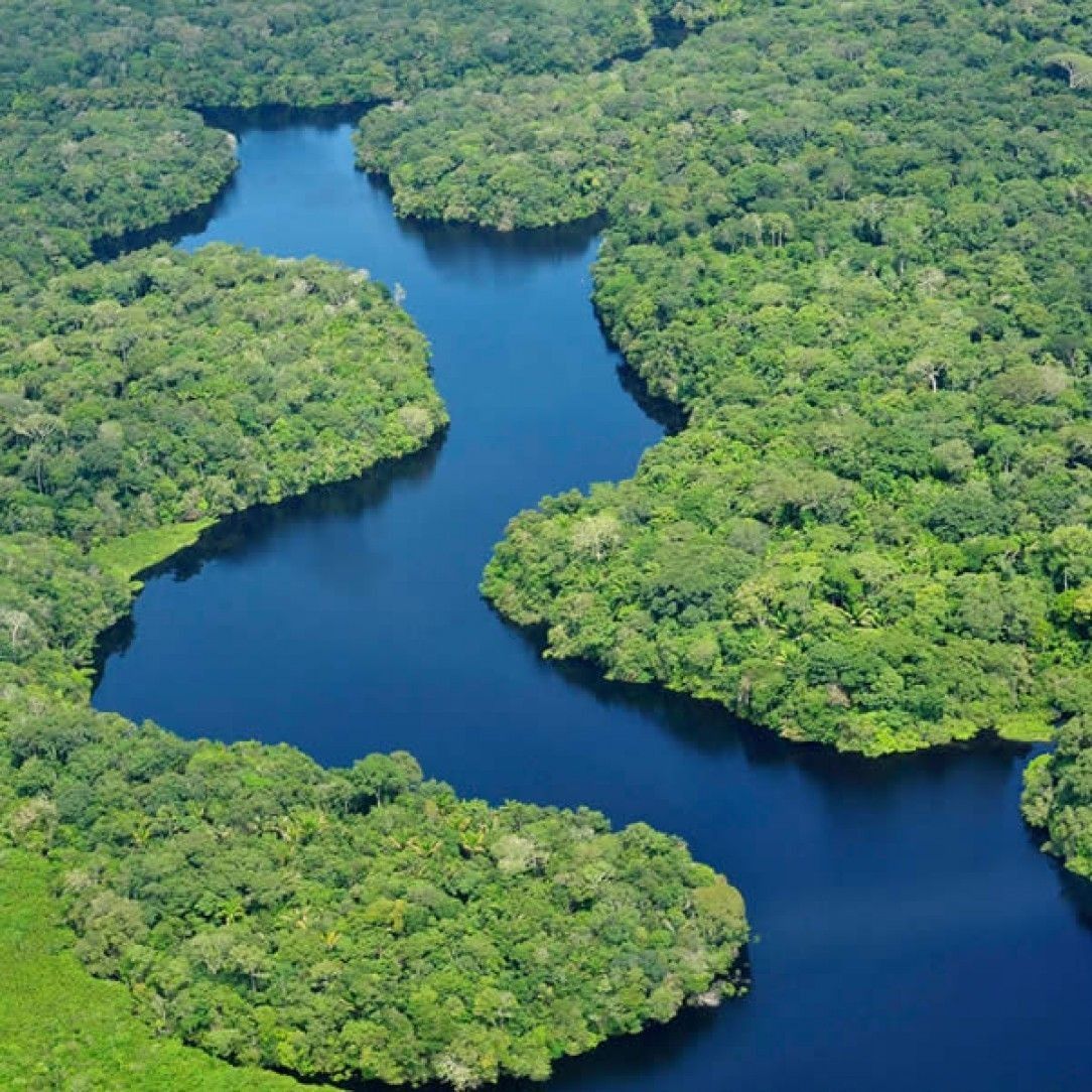 The Amazon in Brazil