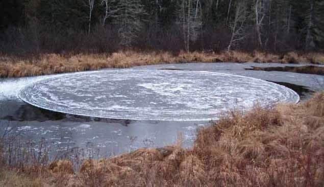 Ice Circle - River Otter