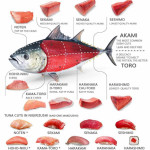 Tuna sushi ans sashimi cut guide