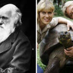 Harriet The Tortoise, Who Died In 2006, Had Seen Charles Darwin In Person
