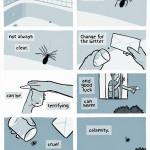 Spider in the Bathtub