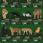 32 endangered species, ranked by how many are currently left