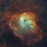 The Tadpoles Nebula