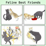 Feline best friends