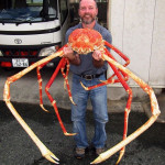 The Japanese Spider Crab can grow a legspan of up to 12 feet, the largest of any arthropod