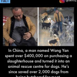Wang Yan, Ally of the Animal Kingdom