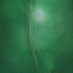 A Deep-Sea Squid, In The Perdido Area Of Alaminos Canyon, At 7800 Ft. Depth