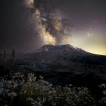 The Milky Way rising above the wildflowers growing in the blast zone of Mt St Helens