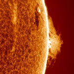 Prominence, sunspot and a filament